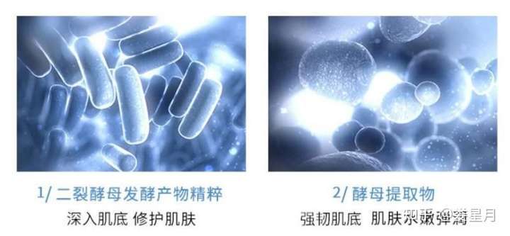 典型油痘肌妹纸分享几款亲测水乳