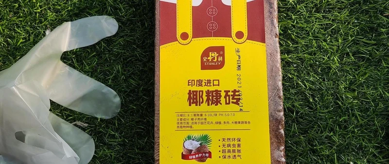 露台种花种菜的经验总结
