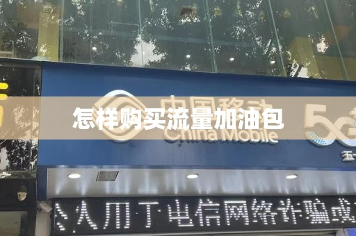 怎样购买流量加油包
