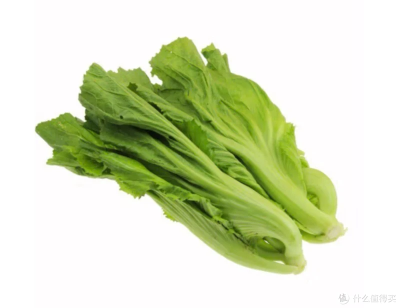 吃了那么多年青菜，你了解多少？青菜大集合，买菜不烦恼