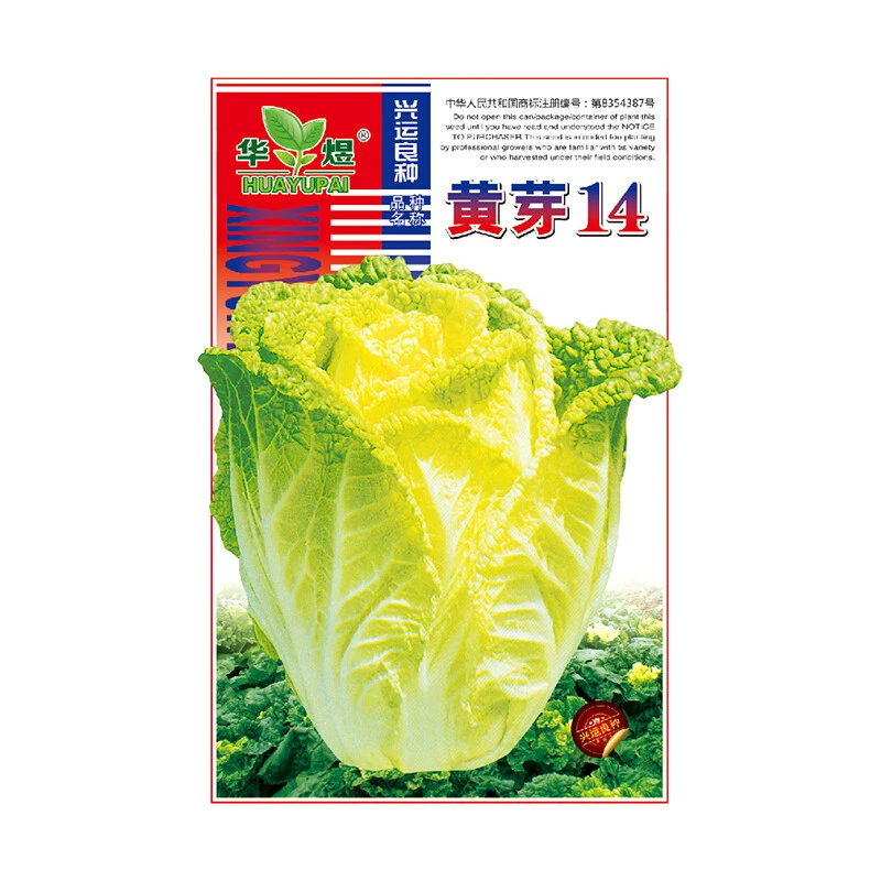 吃了那么多年青菜，你了解多少？青菜大集合，买菜不烦恼