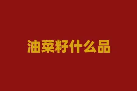 油菜籽什么品种最好 油菜籽什么品种最好吃 油菜籽什么品种最好 油菜籽什么品种最好吃
