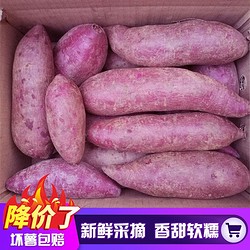 正宗紫薯新鲜沙地番薯10斤粉糯香甜特价1/3/5斤 带箱5斤
