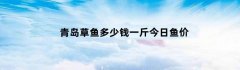 青岛草鱼多少钱一斤今日鱼价