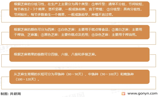 芝麻的主要类型