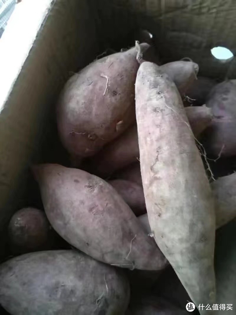 烤紫薯你吃过吗?