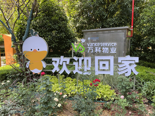 神盘万科翡翠国际交房,我嫉妒了 | 房哥验房报告49期