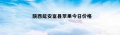 陕西延安富县苹果今日价格