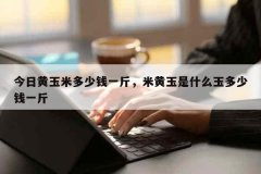 今日黄玉米多少钱一斤，米黄玉是什么玉多少钱一斤