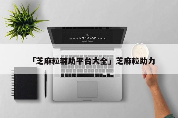 「芝麻粒辅助平台大全」芝麻粒助力
