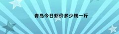 青岛今日虾价多少钱一斤