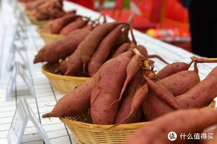 全国,最好吃的“红薯”在哪?网评这10种名气最大,你吃过哪几种