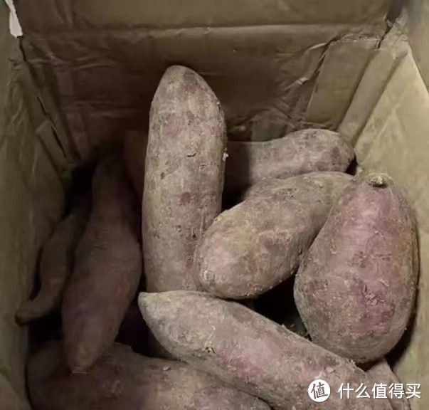 烤紫薯你吃过吗?