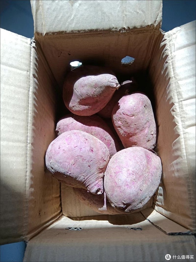 紫薯:紫色奇迹,营养与美味的双重盛宴