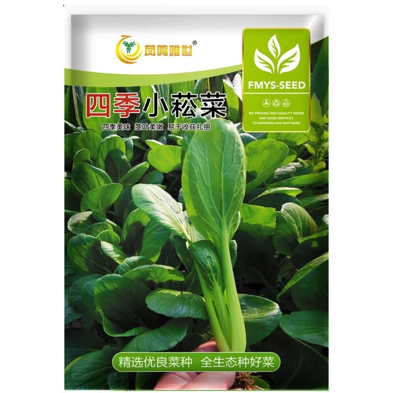 吃了那么多年青菜，你了解多少？青菜大集合，买菜不烦恼