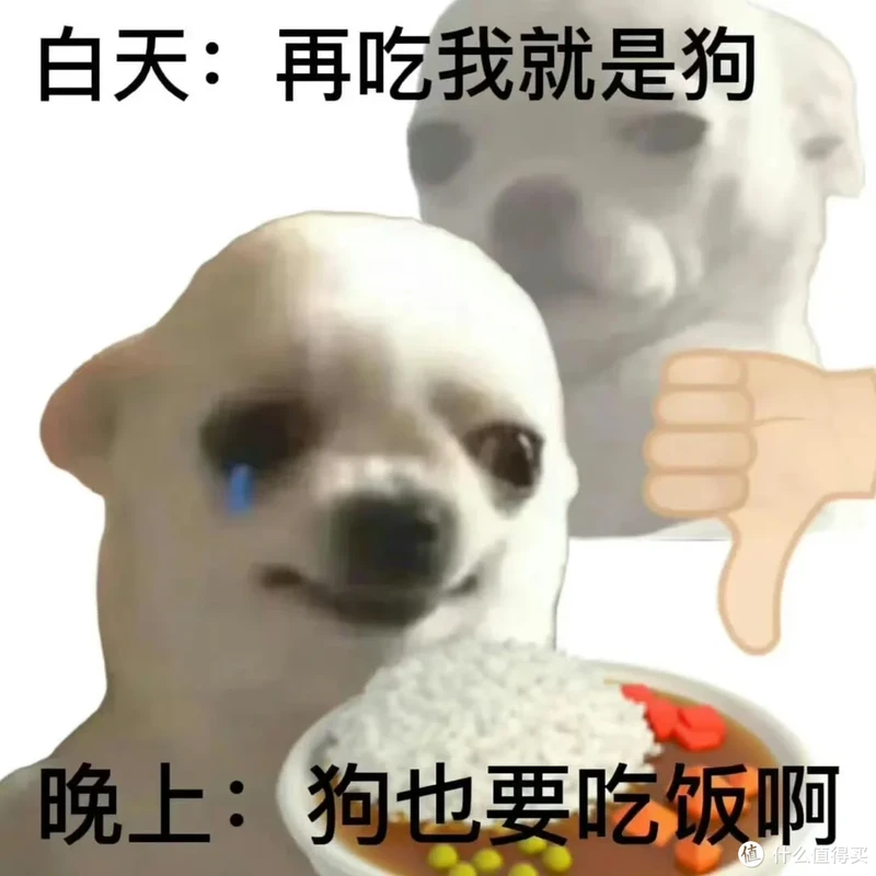 哈佛28天食谱or春断食减肥,减了一阵子,现在我只想破口大骂