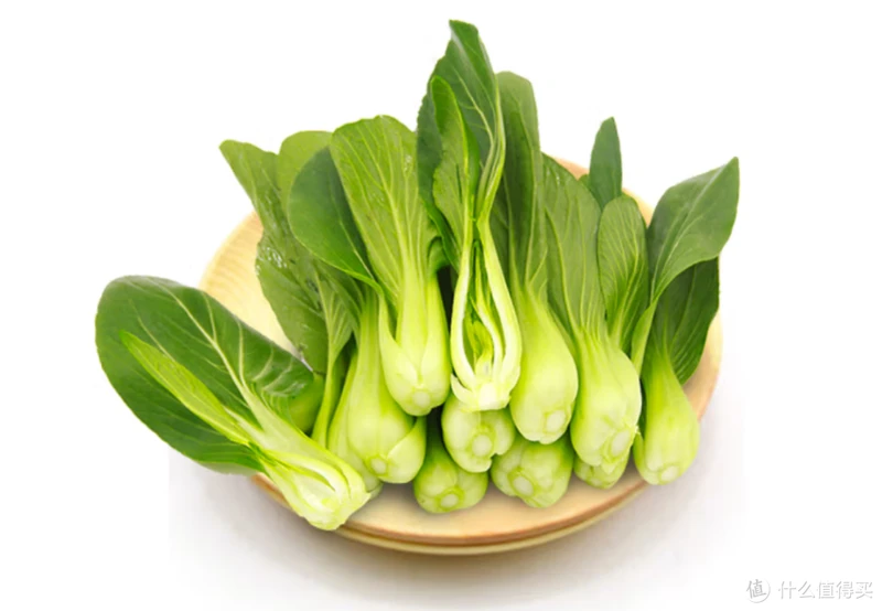 吃了那么多年青菜，你了解多少？青菜大集合，买菜不烦恼