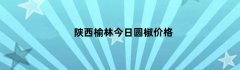 陕西榆林今日圆椒价格