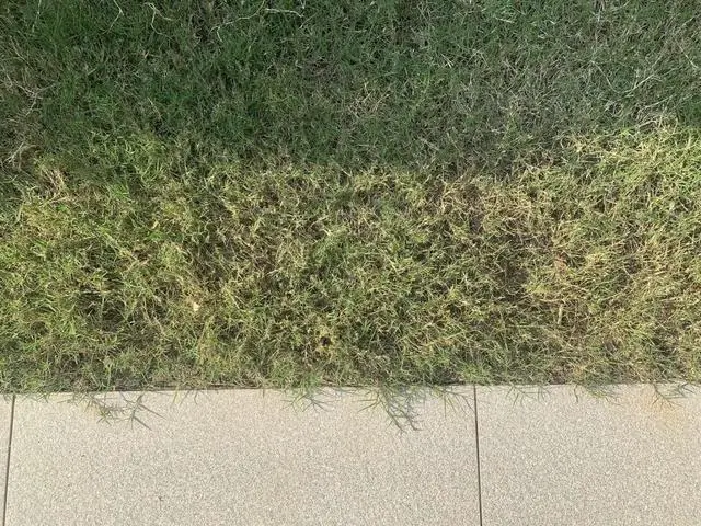1.1万/㎡的桂语蘭庭,凭什么说服房哥掏钱买单|房哥验房报告56期