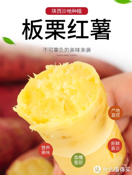 居然被1688上的红薯给种草了，怎么破？