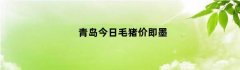 青岛今日毛猪价即墨