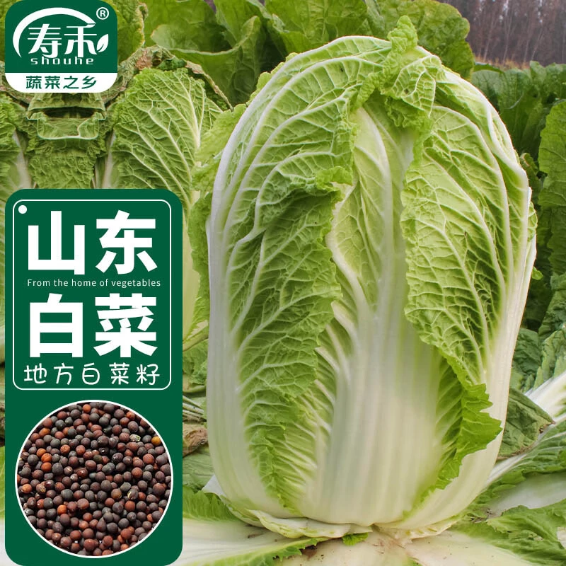 吃了那么多年青菜，你了解多少？青菜大集合，买菜不烦恼