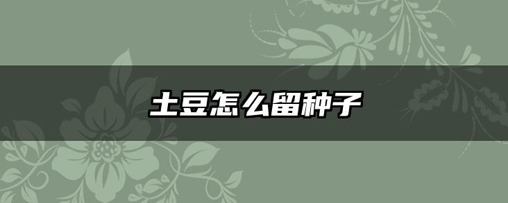 土豆怎么留种子