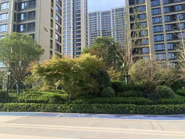 1.1万/㎡的桂语蘭庭,凭什么说服房哥掏钱买单|房哥验房报告56期