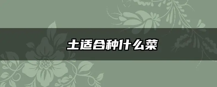 黃土适合种什么菜