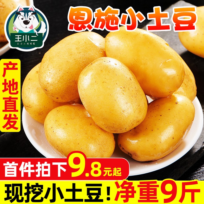 土豆竟然不耐放？哪种土豆易发芽？关于土豆的奥秘听我给你理理！