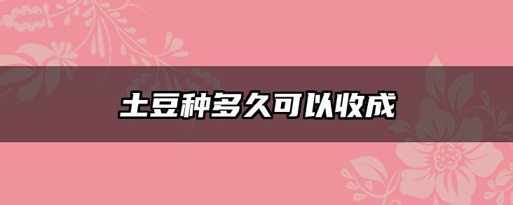 土豆种多久可以收成