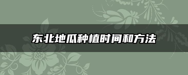 东北地瓜种植时间和方法