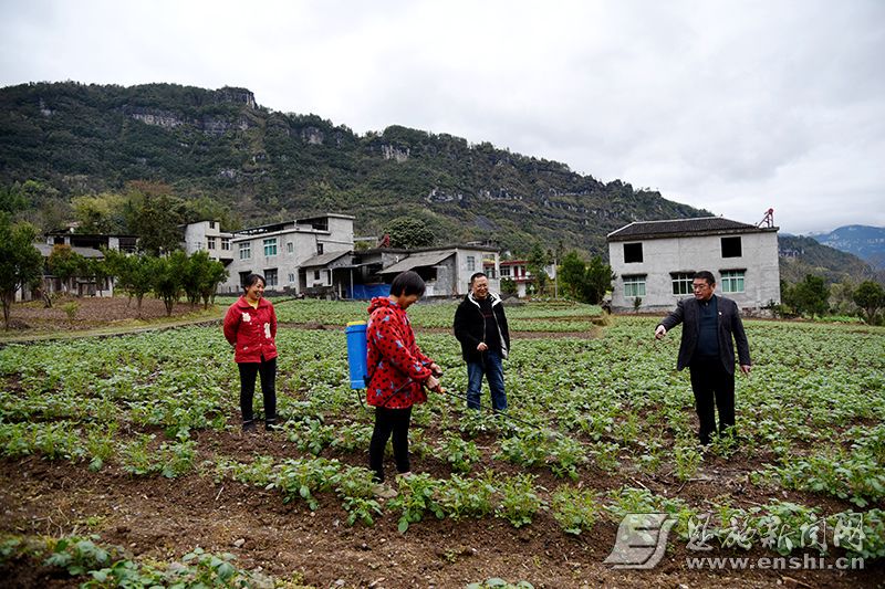 黄焕然（右一）为土豆种植户指导技术。（资料图）