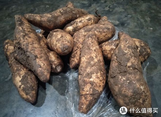 木薯是什么东西?能吃吗?