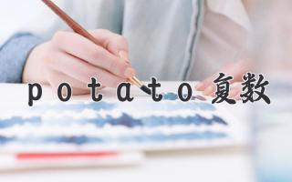 potato复数