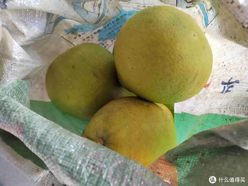 朋友圈晒婆婆送来的好东西，半个月不出门都饿不着，网友：真豪横