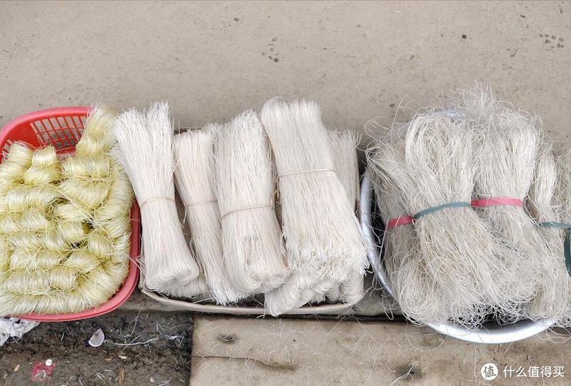 什么是“木薯粉”?为何粉条要加木薯粉?会对身体造成怎样的伤害