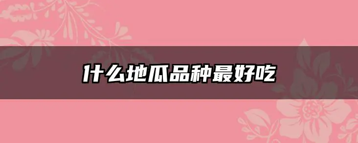 什么地瓜品种最好吃