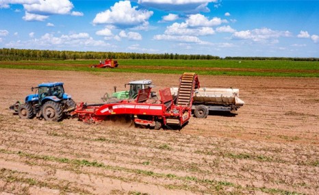 GRIMME（格立莫）GT170马铃薯装车提升臂式联合收获机