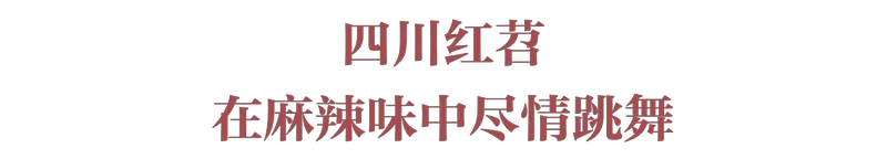 红薯，统一南北味蕾的粮届“盟主”