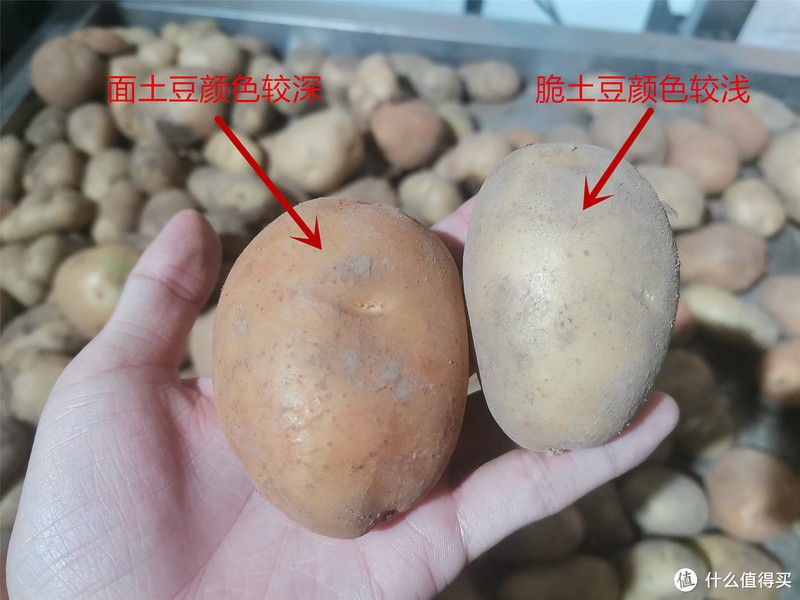 买土豆时别只会挑大小，分清“面土豆和脆土豆”，选对土豆，做菜才会更香