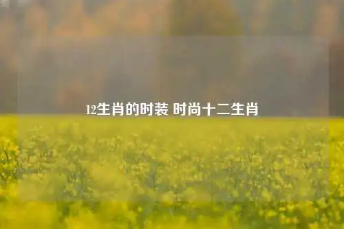 12生肖的时装 时尚十二生肖