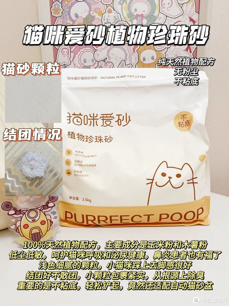 什么猫砂值得买