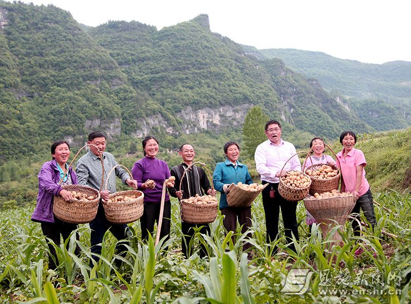 黄焕然（右三）带领乡亲种土豆。（资料图）