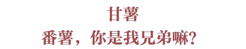 红薯，统一南北味蕾的粮届“盟主”