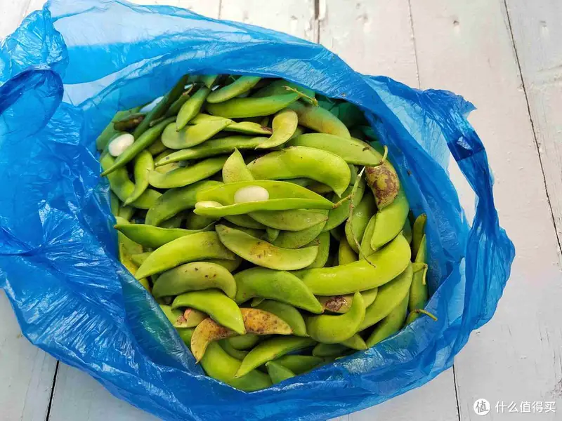 朋友圈晒婆婆送来的好东西，半个月不出门都饿不着，网友：真豪横
