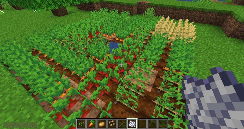 Replanting-Crops-mod-for-minecraft-04.jpg