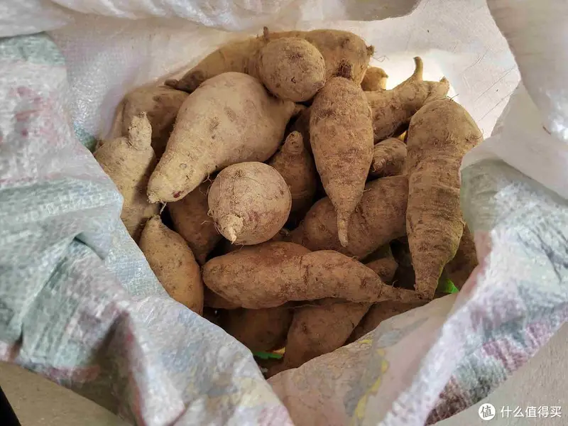 朋友圈晒婆婆送来的好东西，半个月不出门都饿不着，网友：真豪横