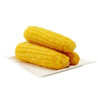 森工露选 黄白糯玉米220g*1根颜色随机
