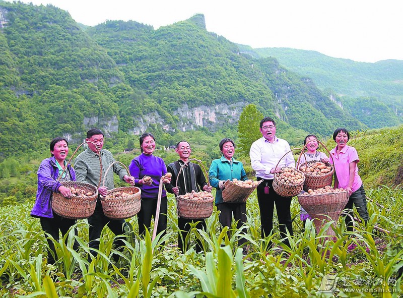 黄焕然（右三）带领乡亲种土豆。（资料图）